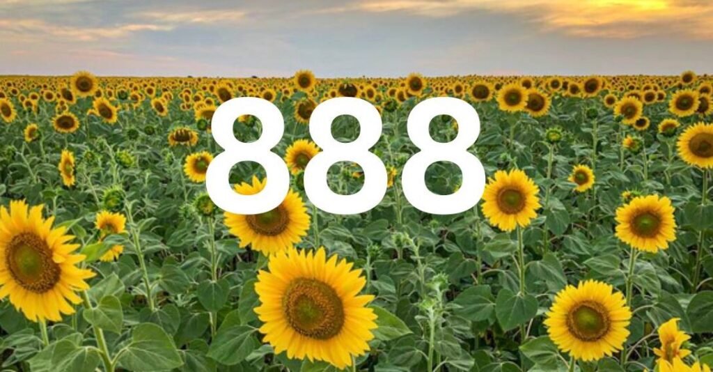 How to Unlock the Power and Abundance of 888 Angel Number in Your Life How to Unlock the Power and Abundance of 888 Angel Number in Your Life