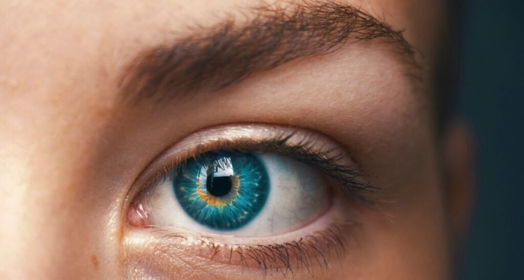 How Coloured Contact Lenses Can Elevate Your Style How Coloured Contact Lenses Can Elevate Your Style