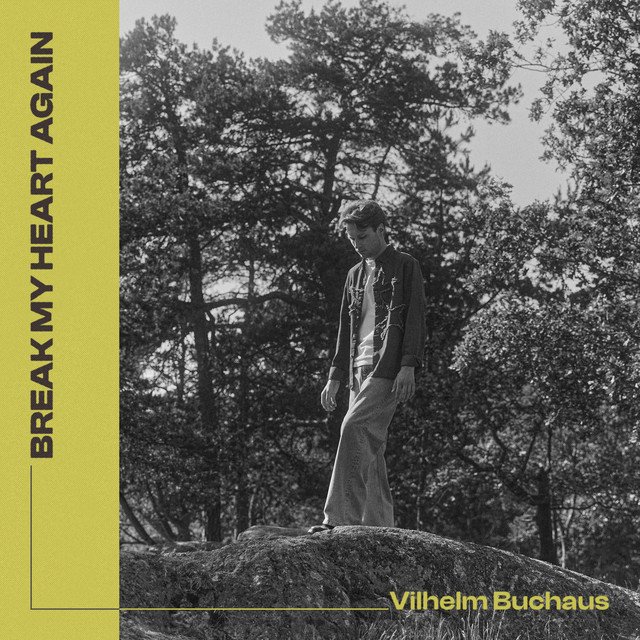 Vilhelm Buchaus Break My Heart Again song cover